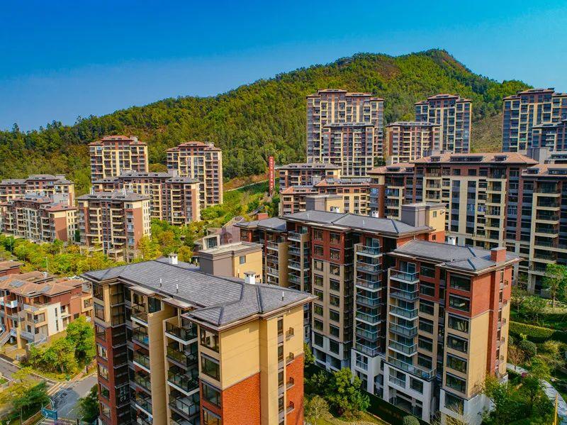 10多分钟到深圳、家门口上华附？14号线热盘深圳客占7成