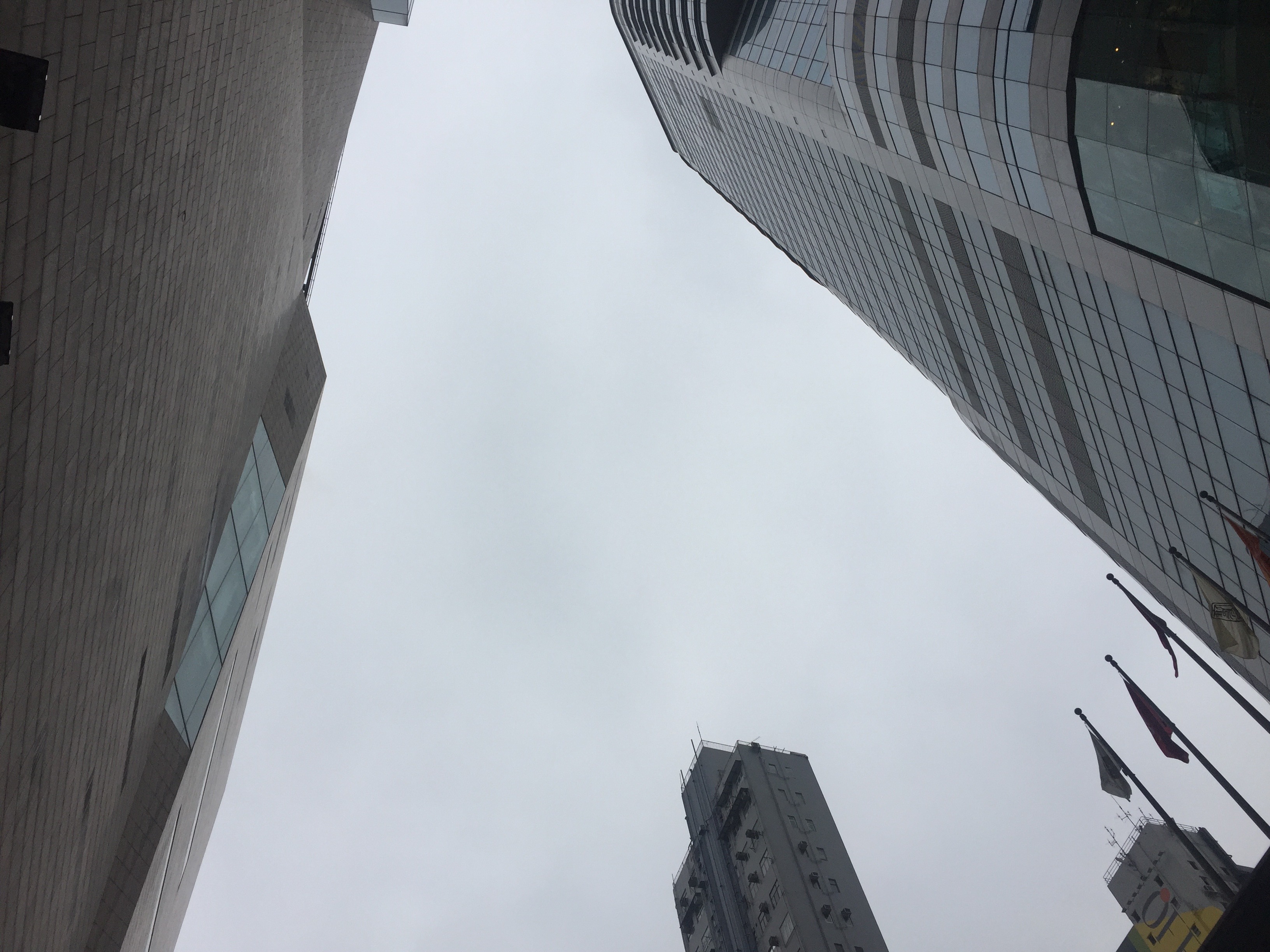 没去过香港会不会迷路,没去过香港有个地方叫铜锣湾