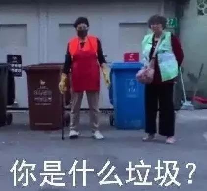 在国外住家保姆能挣多少钱,在加拿大做保姆能挣多少钱