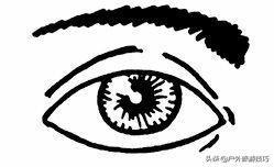 鏈棩鐢熷瓨鎸囧崡涓у案鐖嗗彂,鏈棩鍍靛案鐢熷瓨鎸囧崡鐏垎鍏ㄧ綉