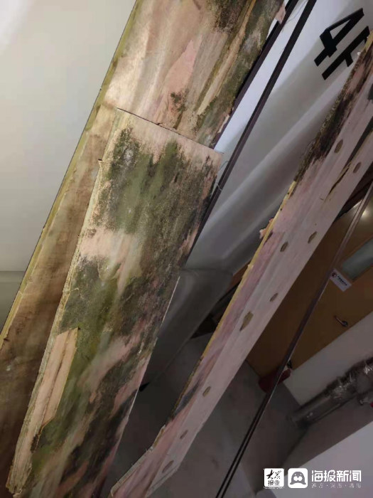 东营富力盛悦府质量怎么样,东营富力盛悦府质量