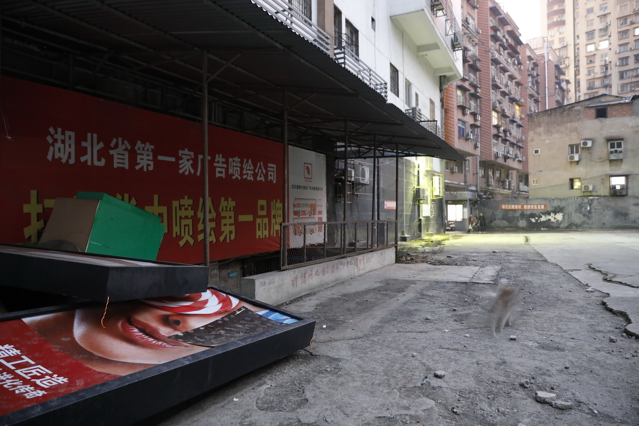 大武汉系列之一,武汉电池厂布局