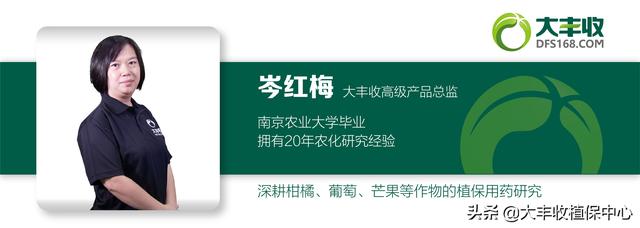 红蜘蛛一般打了药几天见效,红蜘蛛治好多久发芽