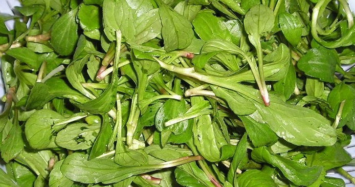 痔疮难以忍受不妨用小食材来改善,痔疮难受吃什么药好得快