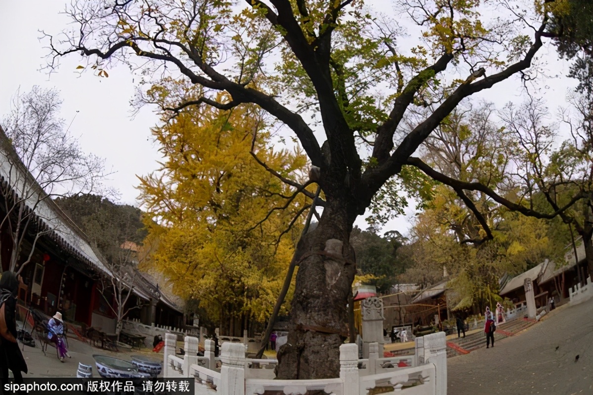 打卡北京十大古迹,打卡北京100个景点