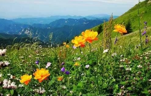 有了这些均温不足20℃的空调山，再热情的“烤验”也挡得住