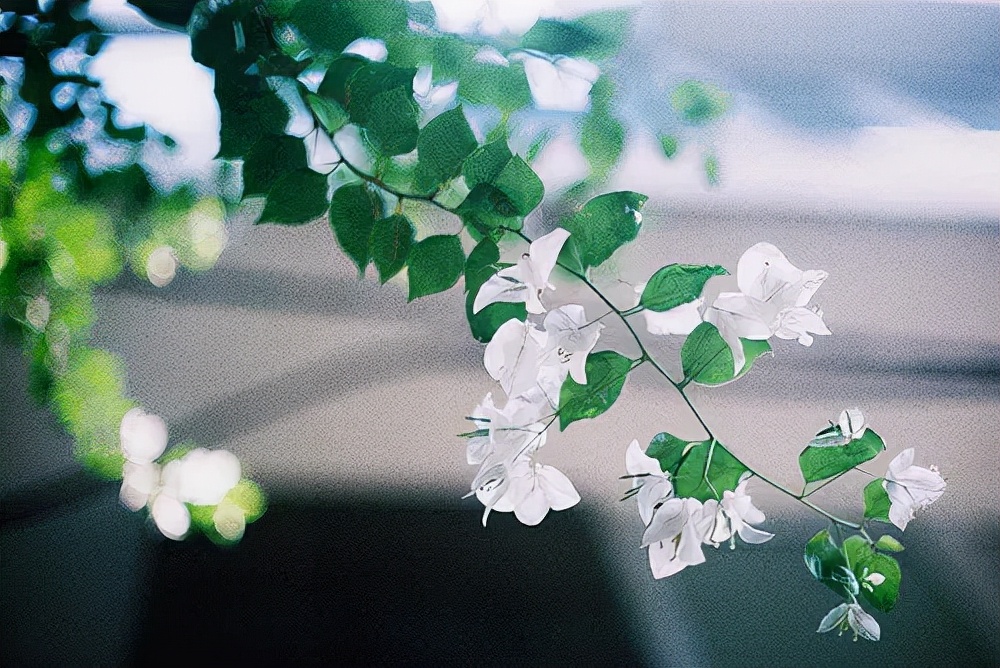 写给不懂事的人的话,老实人沉默不说话不要认为好欺负