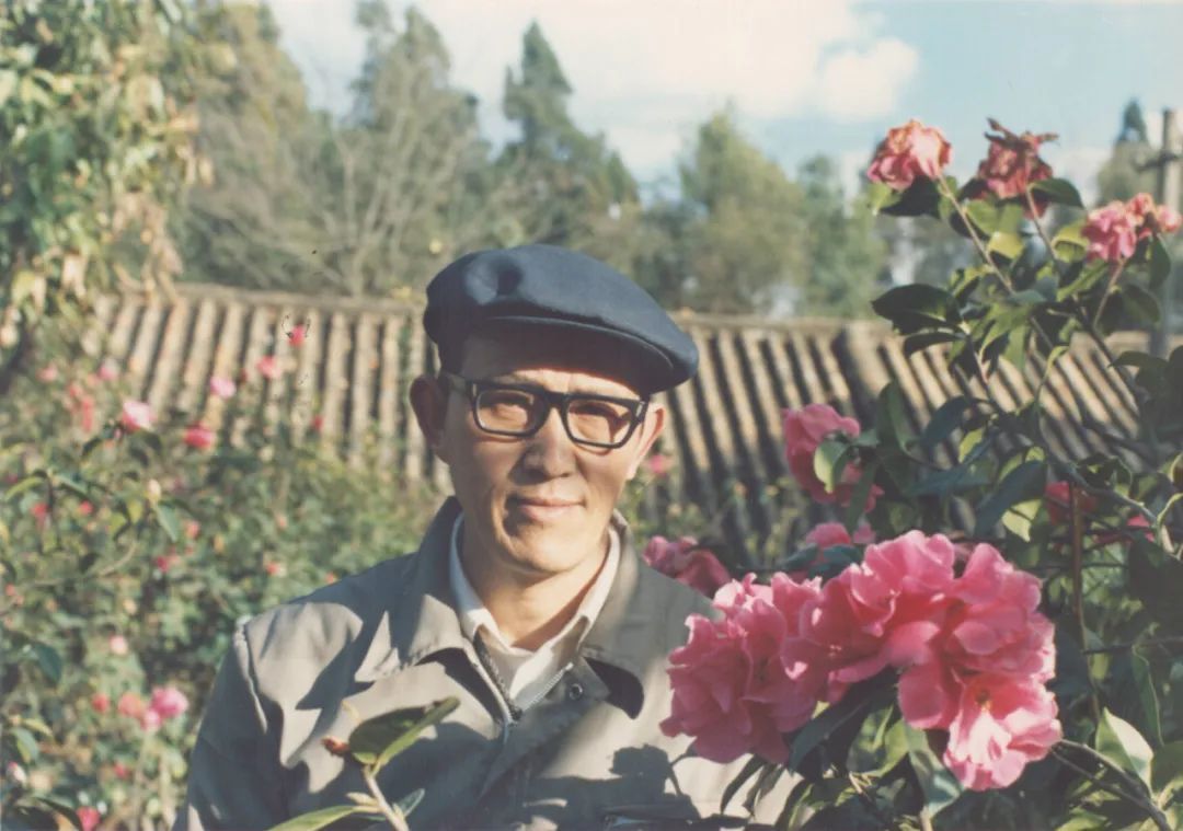 濒危稀有植物绘画,八大濒危珍稀植物