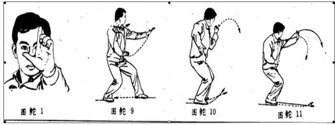 45岁是黄金养生期该如何养生呢,40岁到55岁运动