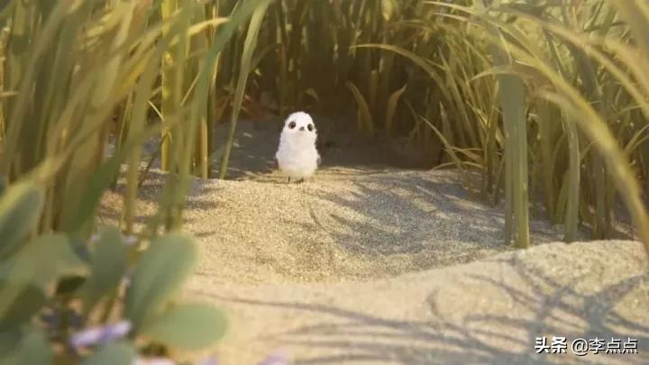 盘点8部奥斯卡动画短片,救命60秒电影