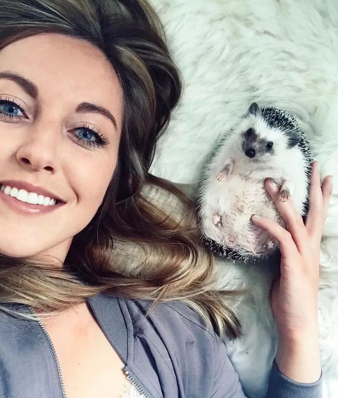 网红小刺猬——过成了你最想要的样子。