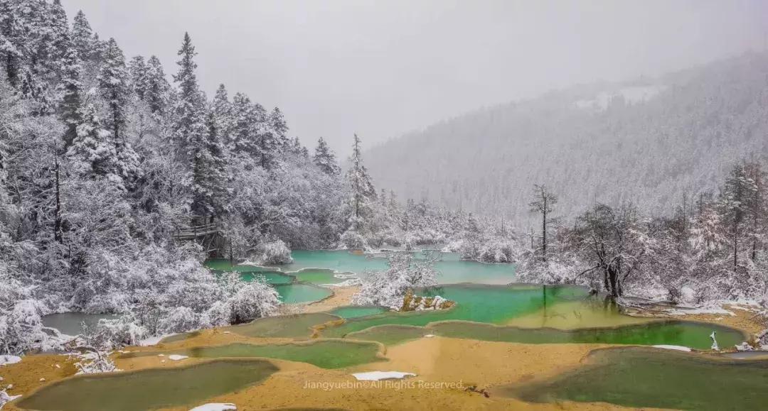 黄龙，不见则已，一见钟情