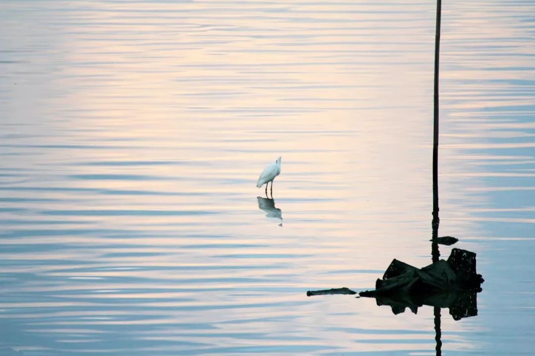 不爱江山更爱美人的上半句,不爱江山更爱美人的上一句是什么