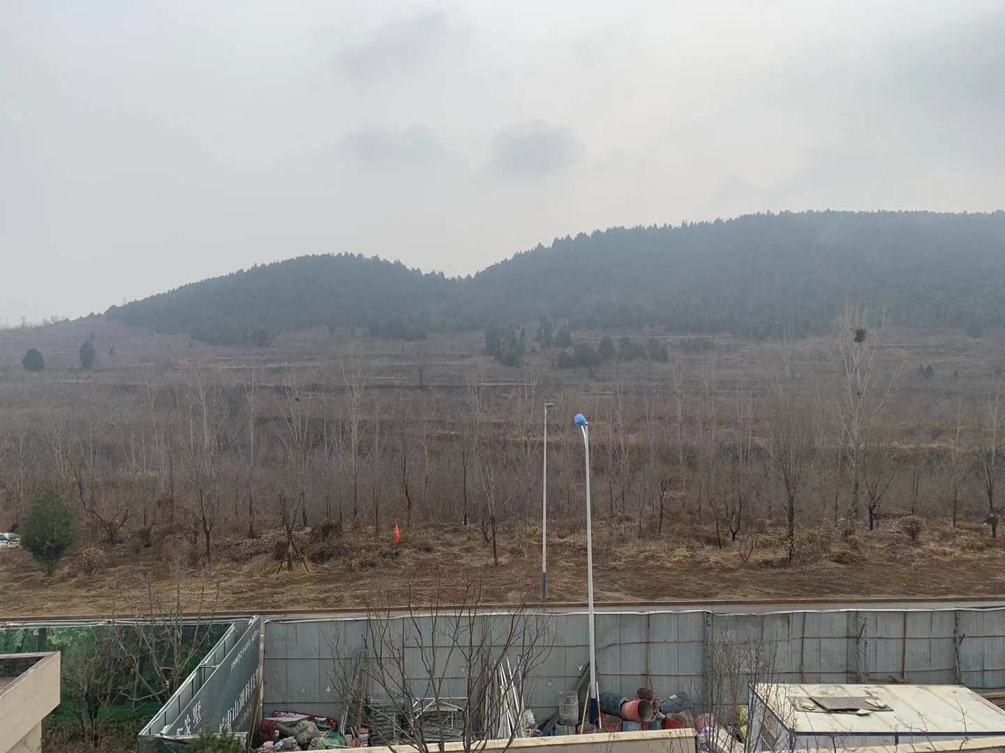 金茂国际新城金茂墅,金茂高端系列