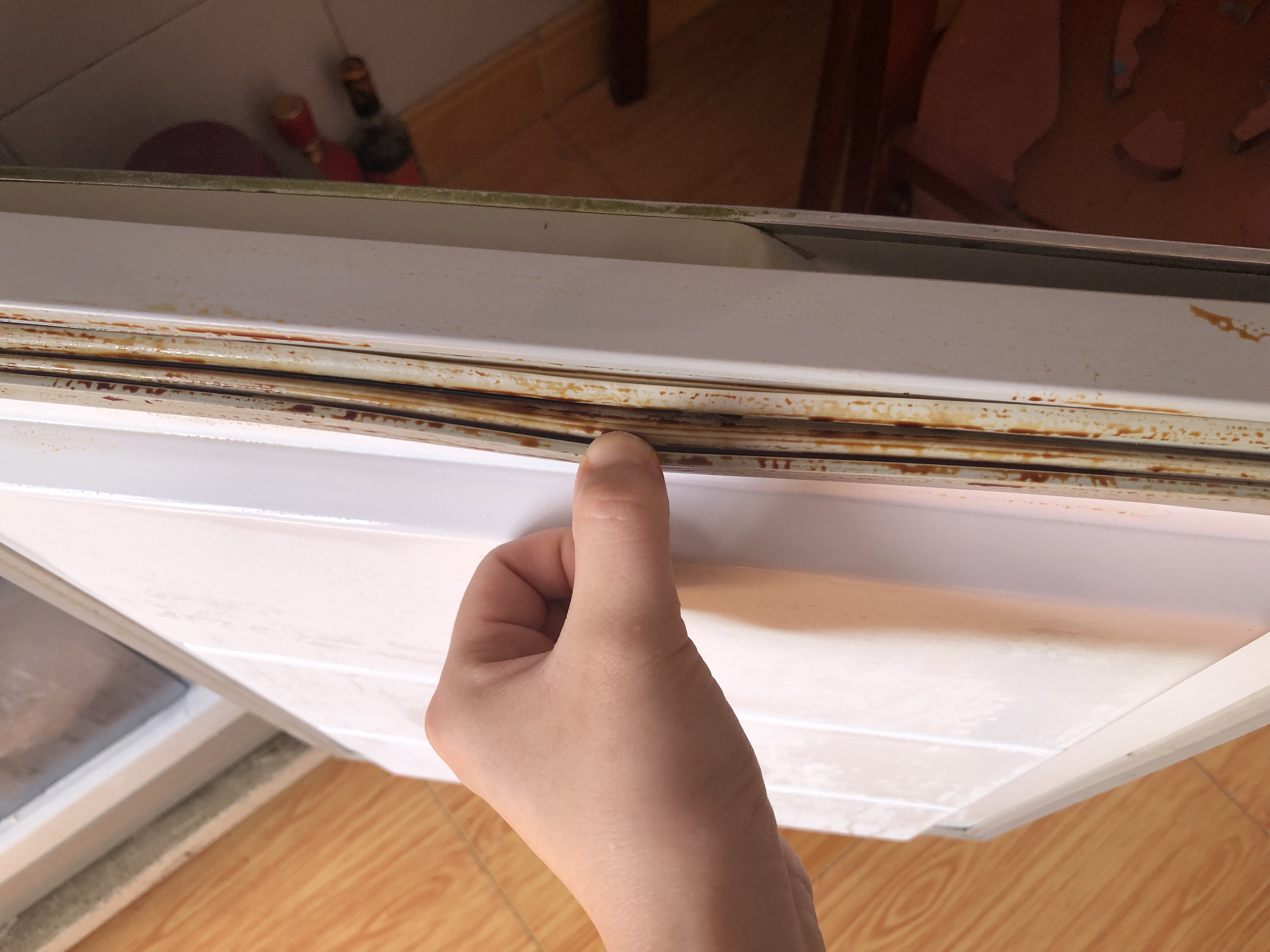 冰箱胶条霉斑怎么去除,冰箱胶条太脏怎么清洁