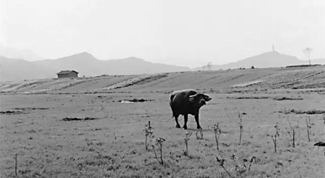 图说广元：历史的“老广元”，有多少人还记得她曾经的模样？