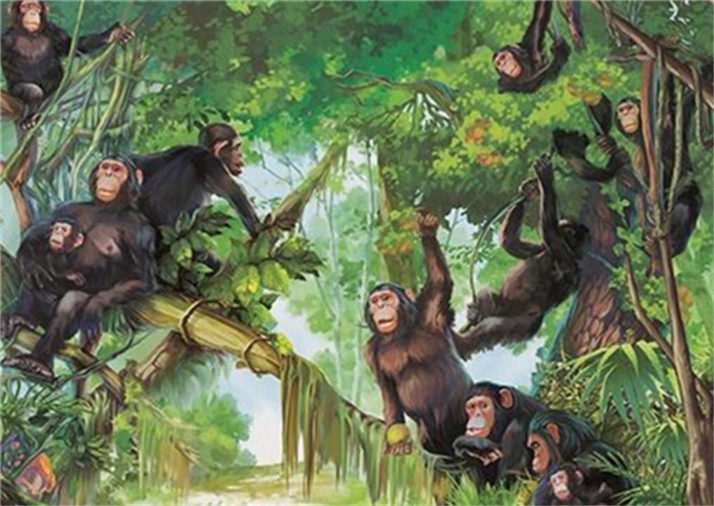 人都是女性生的，在人类出现前，世界上第一个女性是从哪里来的？