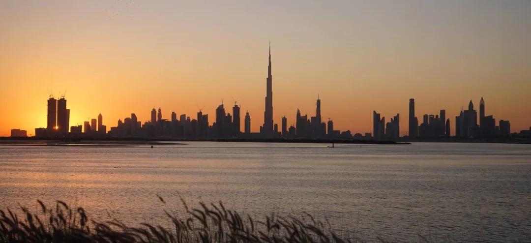 landmark杩嫓,杩嫓landmark