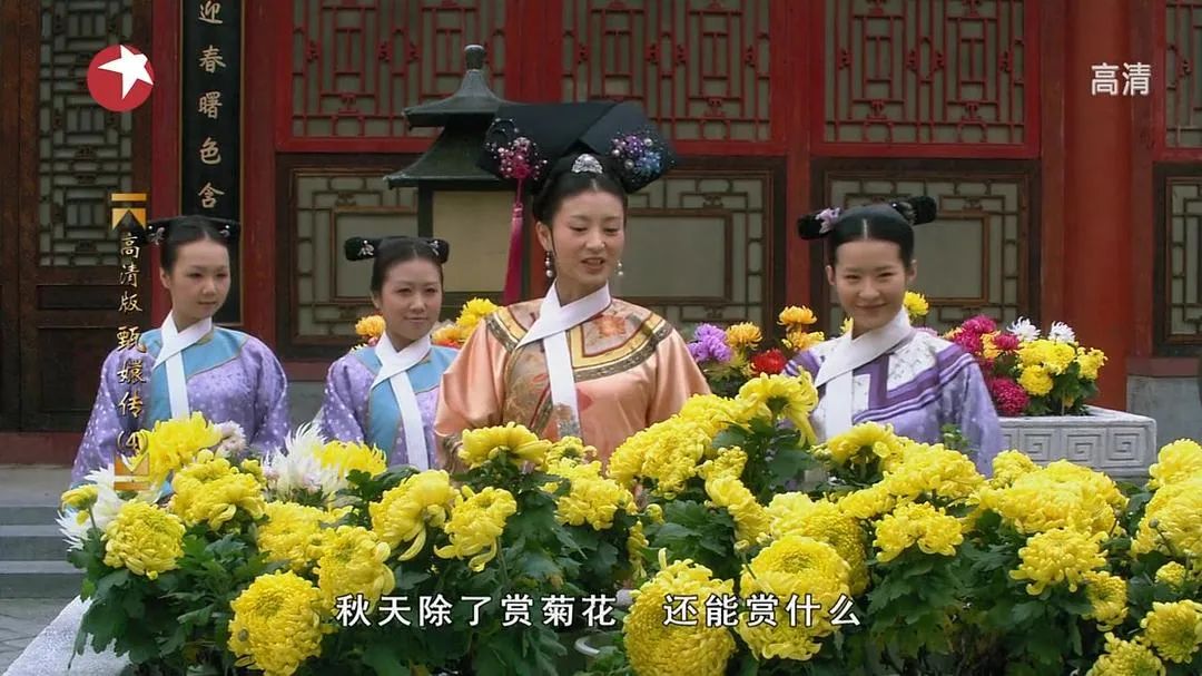 大染坊获奖视频,大染坊在香港收视率