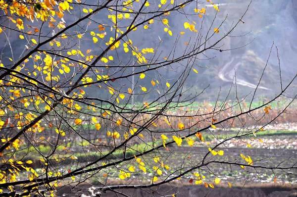 一段唯美诗词,一段古风美文