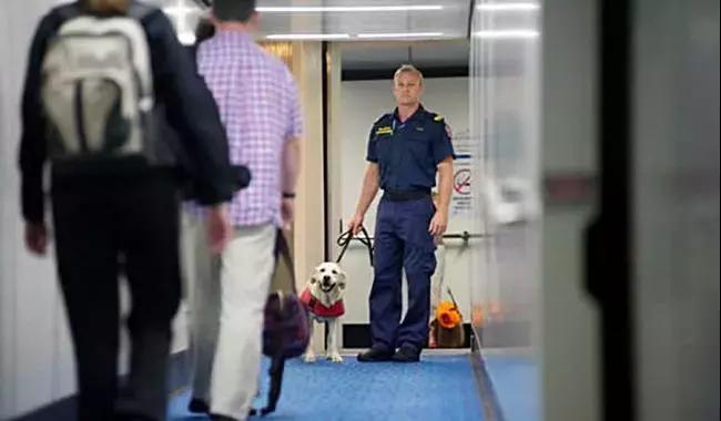 从国外带25盒药回国违法吗,从国外带药回国被扣要判多少年