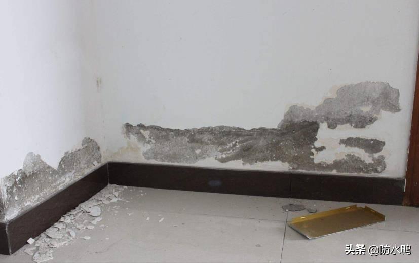 墙面潮湿起皮脱落怎么处理反碱,墙面潮湿起皮脱落怎么处理卫生间