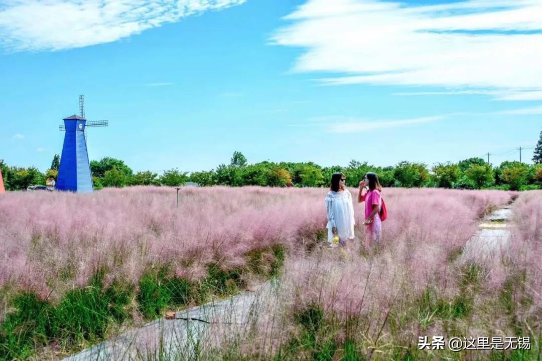 无锡秋游胜地最全推荐,无锡秋游自驾绝佳去处