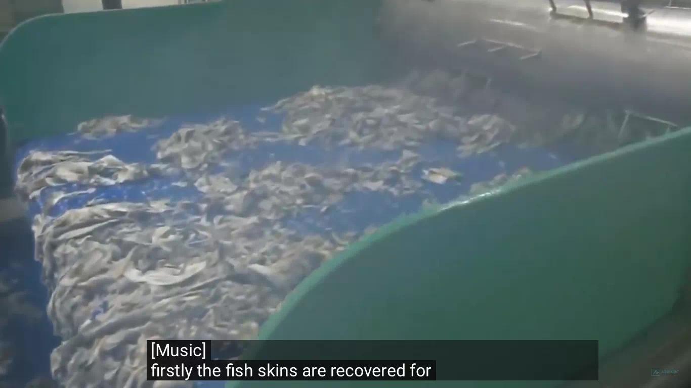 曾标榜健康的进口海鲜，幕后养殖曝光，堪比垃圾食品（菲李漫画）