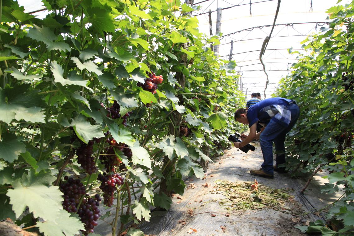 秋天的第一波大“瓜”终于藏不住了