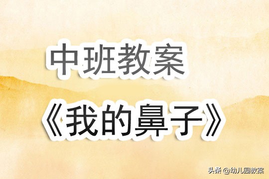 失踪的鼻子教案反思,有用的鼻子中班教案