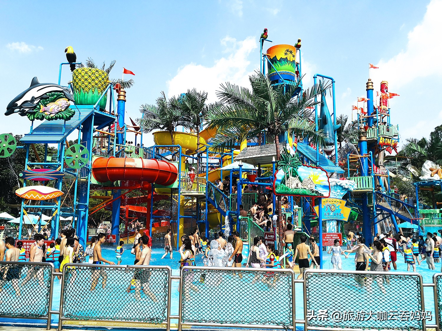 长隆野生动物世界侏罗纪森林视频,长隆野生动物园蛇馆与侏罗纪馆