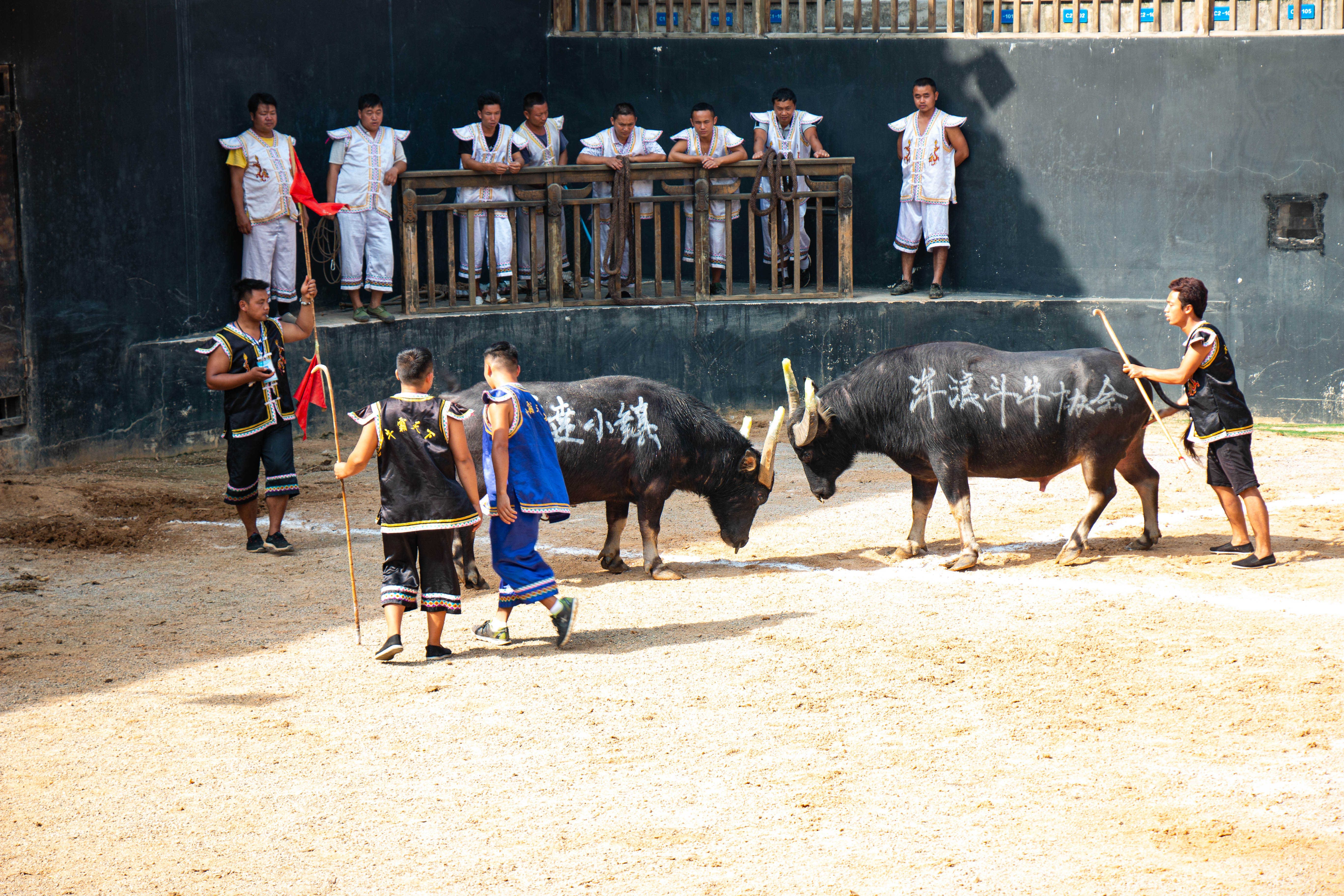 丹寨万达小镇全攻略|夏天必打卡的小镇之一