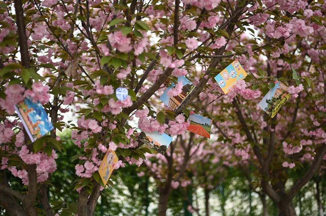 这等世外仙境竟然在西南交通大学希望学院?