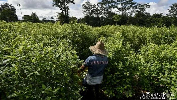 *品毒**战争背后的商业秘密：价格博弈、人力资源、特许经营