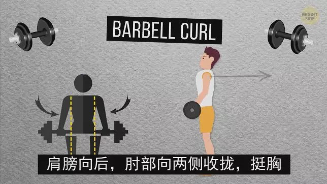 怎么练手臂的肱三头,怎么才能练出手臂的肱三头肌