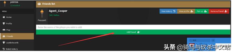 骑马与砍杀战团网吧怎么联机,骑马与砍杀战团选什么开局