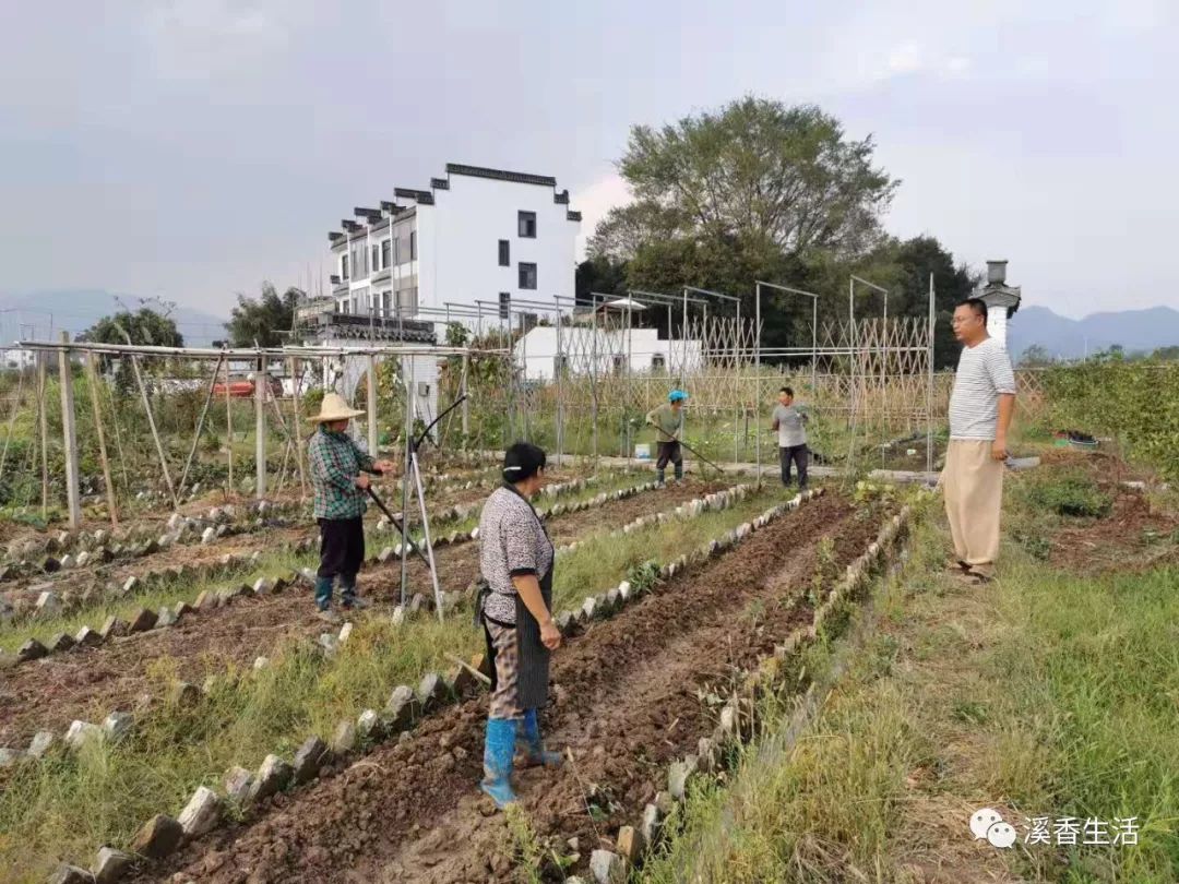 西溪南古村落惬意慢生活,徽州西溪南生活