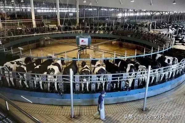 清凉避暑好去处网红打卡圣地,清凉避暑好去处抖音