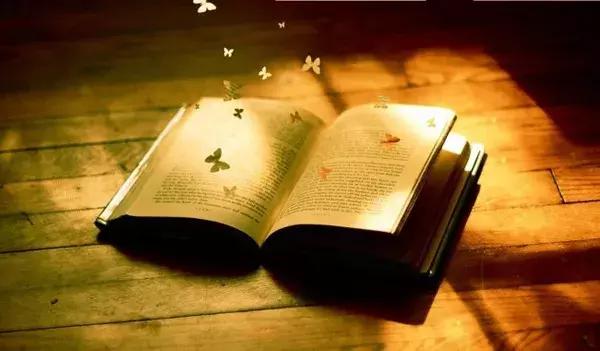 职场干货网址,网址干货收藏