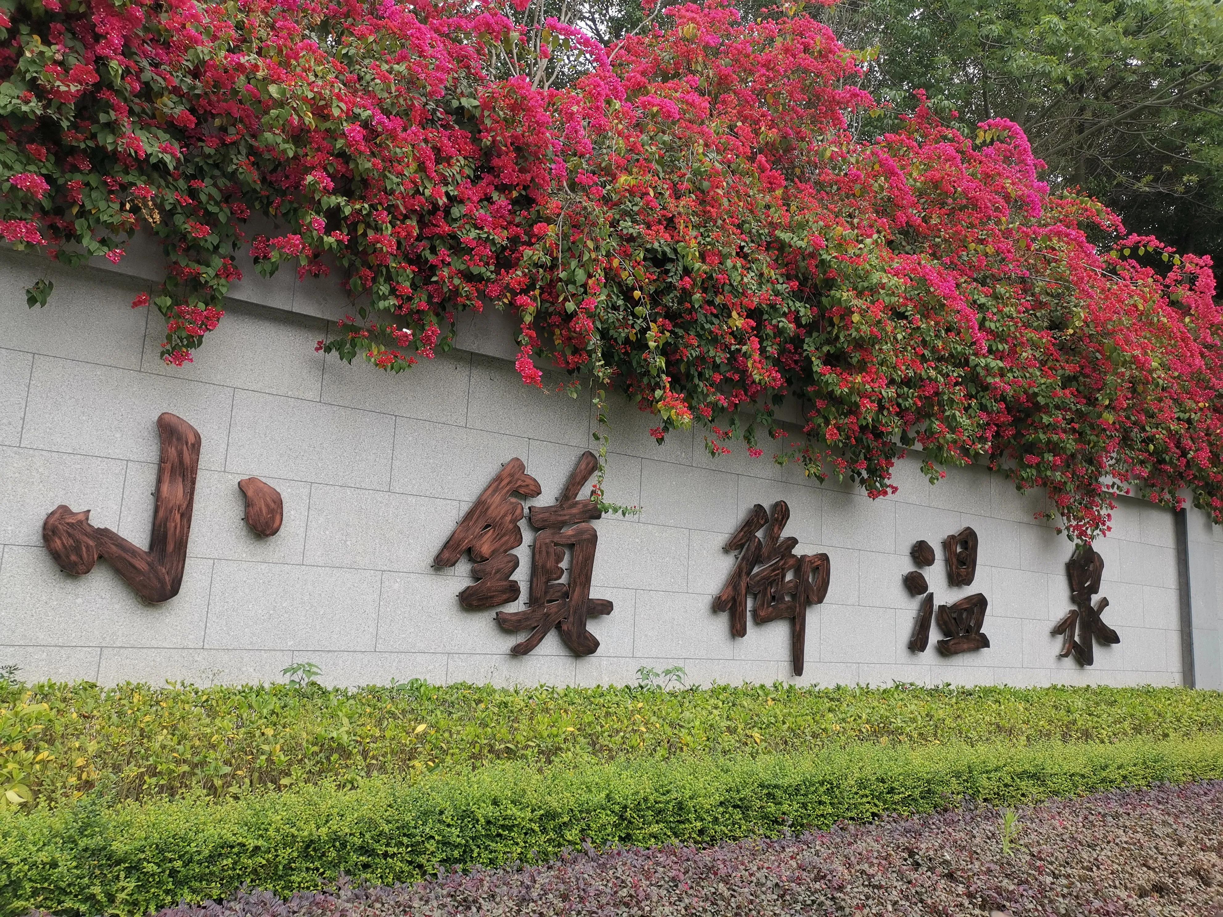 濮戝珎鏃呰璁板綍,濮戝珎鏃呰鏃ヨ