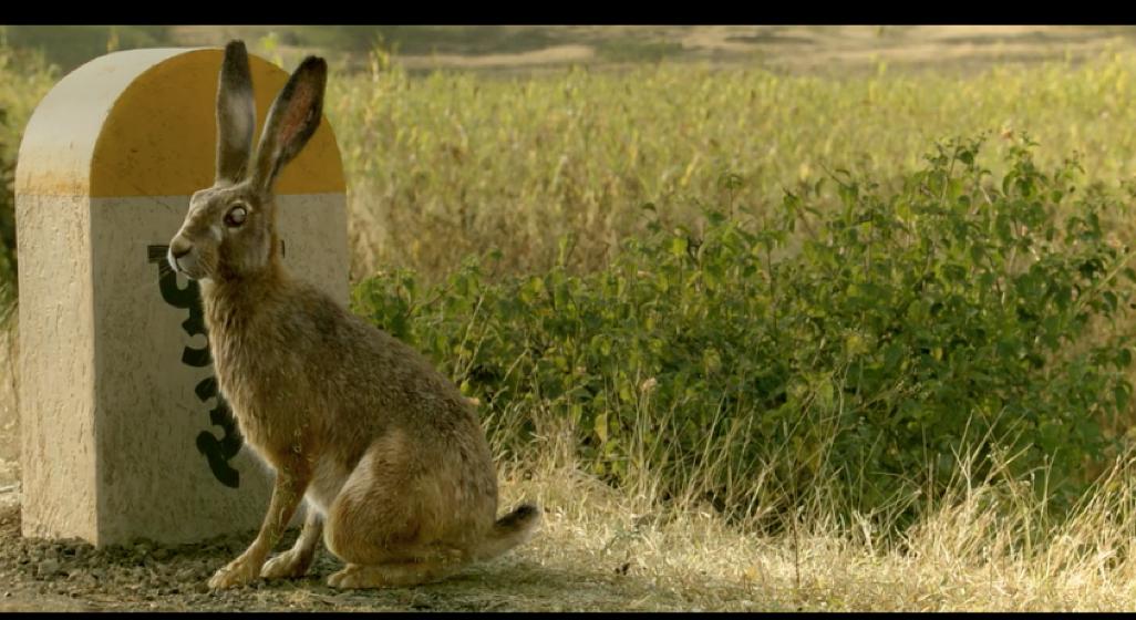 调音师看不见的客人类似电影,调音师和看不见的客人