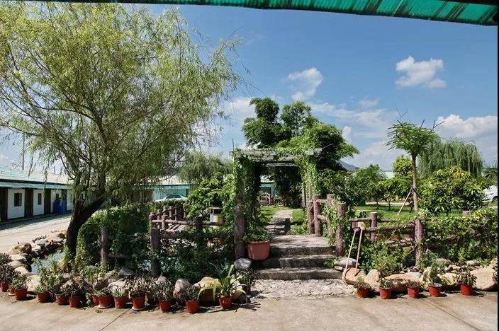 来喽·惠州候鸟印度洋风情别墅~网红泳池+休闲单车、农家特色菜