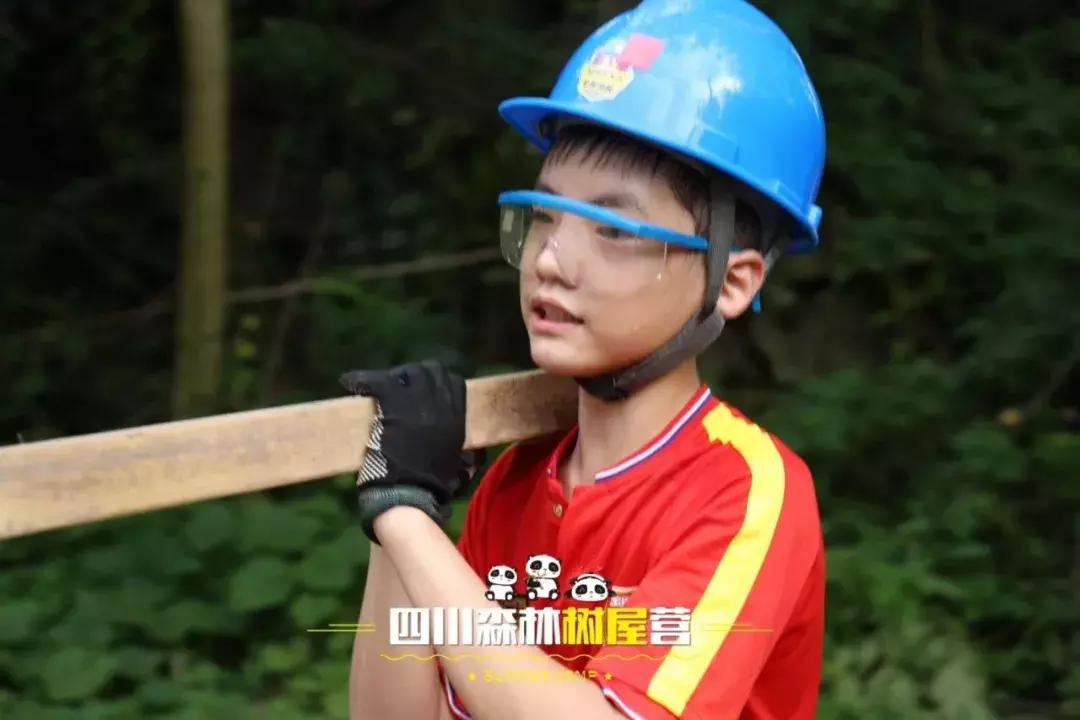 厉害了！这几个小学生竟然花了5天时间在森林里造了一个......