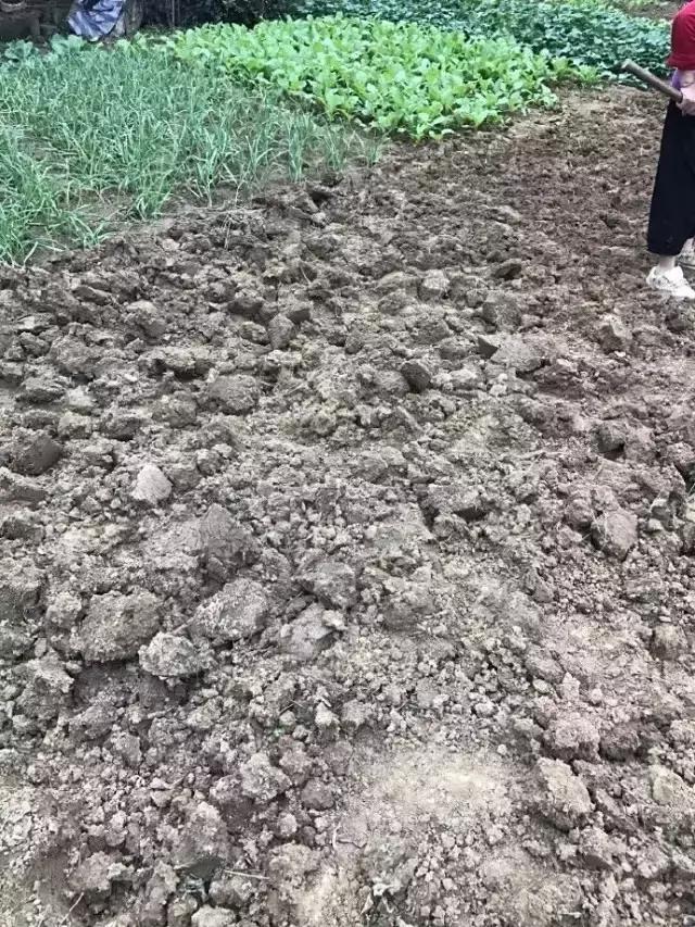 90后小伙花100万造房子,90后小伙花几千元装修500个平方