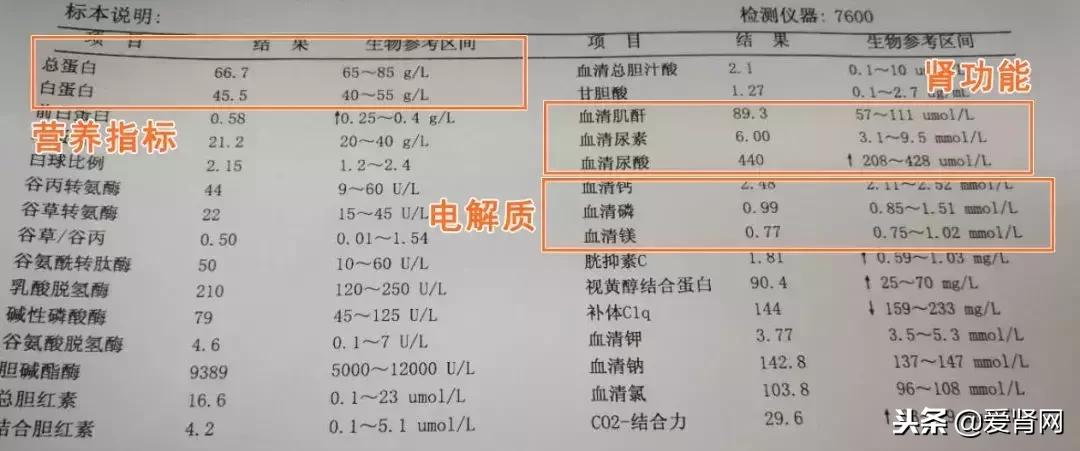 复查心里没底？简单易懂的肾内科检查解读，给每一位需要的肾友