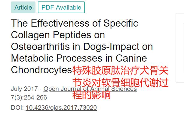狗狗可以吃胶原蛋白肽吗,狗狗的胶原蛋白肽