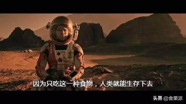 藜麦奇亚籽牛油果,椰子油奇亚籽牛油果藜麦