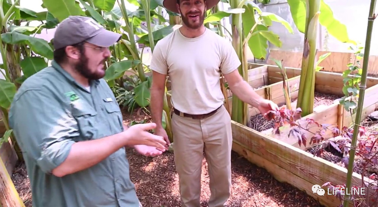 TSA这次聊的龟，连维基百科都没有完整介绍——苏拉威西白头龟