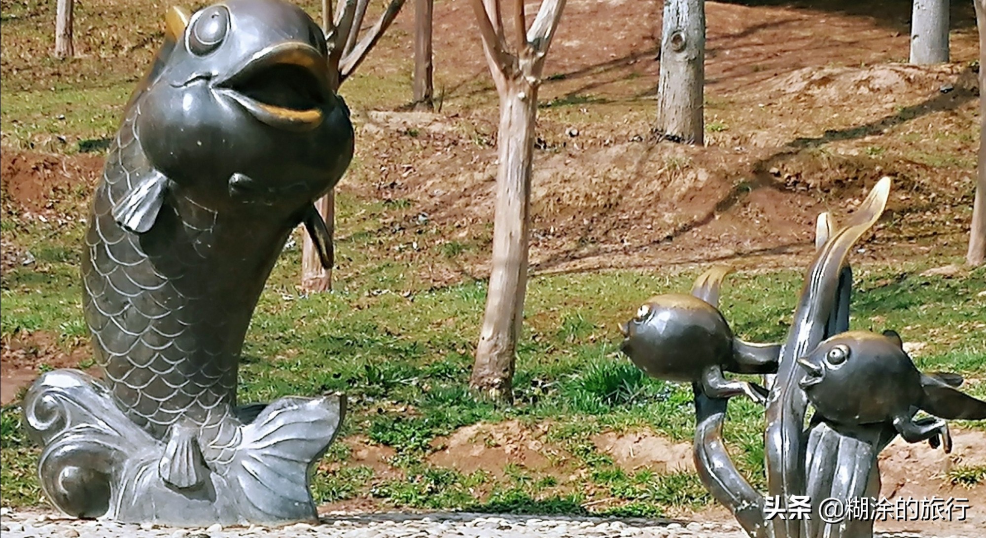 西安市清凉山森林公园地址,西安市清凉山森林公园在哪里