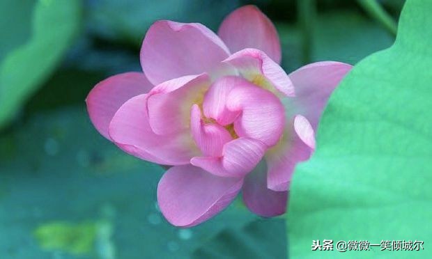 智慧语录，哲学语录，短句子也适合做签名，发朋友圈，高格调！